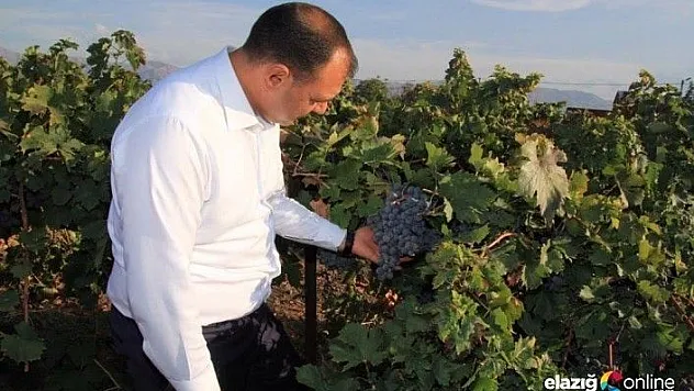 Vali Kaldırım, Üzümleri ile Meşhur Hoş Köyü'nde