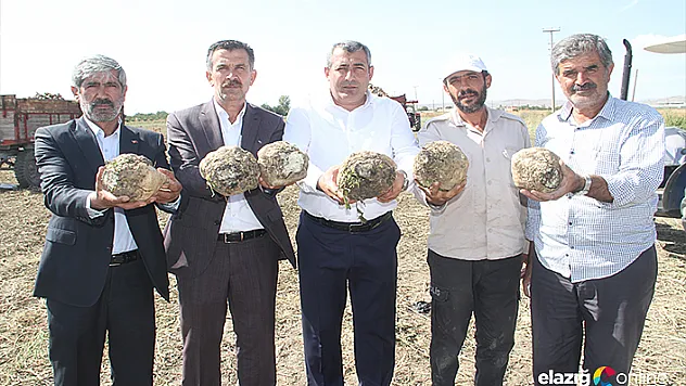 Yağışlar pancar üretimini de vurdu