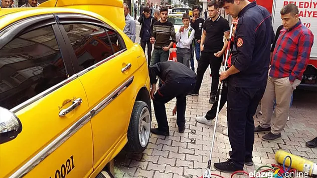 Yılan ticari taksiye girdi sonra...