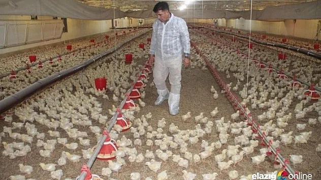 Yöneticiliği bıraktı, aldığı destekle kendi işinin patronu oldu