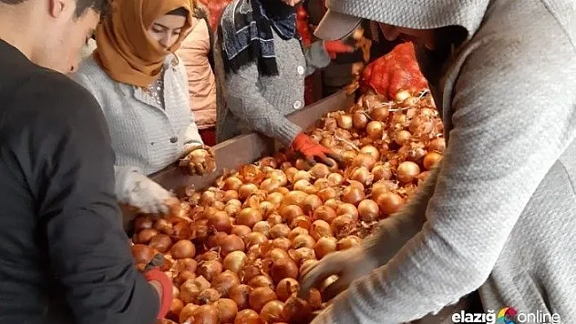 Depolara baskın yapıldı, soğan fiyatları 30 kuruş düştü