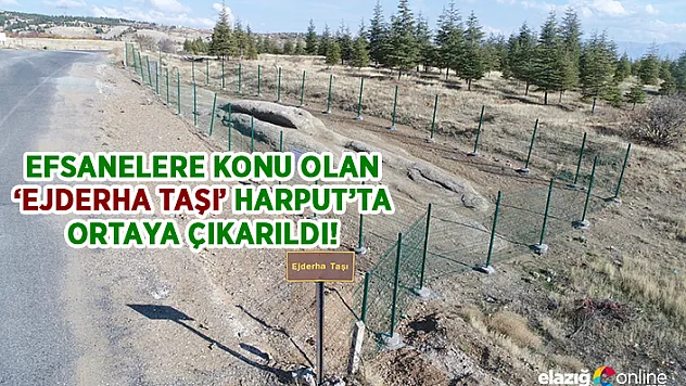 Efsanelere konu olan &quotEjderha taşı&quot  Harput'ta ortaya çıkarıldı