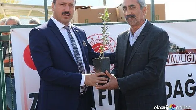 Elazığ'da 30 üreticiye, zeytin fidanı hibe edildi