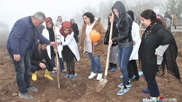 Elazığ'da kadınlar ve engelliler fidan dikti