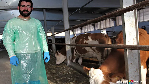 Kurduğu çiftlikte yıllık 260 ton süt üretiyor