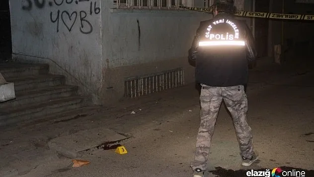 Pompalı tüfekle vurularak öldürüldü!