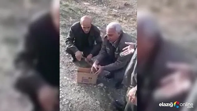 Tedavileri yapılan akbaba ve çulluk doğaya bırakıldı