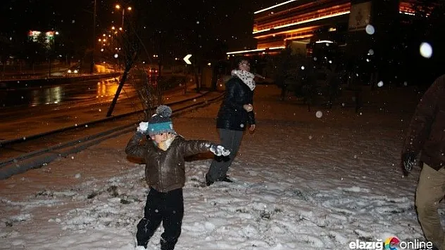 Ankara'da mevsimin ilk karı yağdı