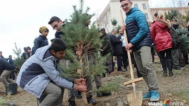 Elazığ'da &quotAğacımla büyüyorum, kendi seramda üretiyorum' projesi