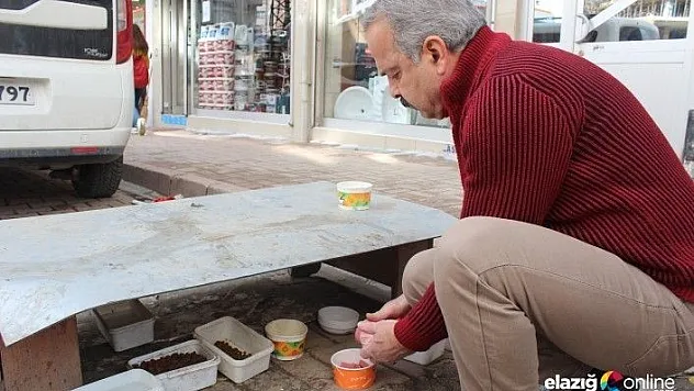 Elazığ'da esnaf sokak hayvanlarına sahip çıkıyor