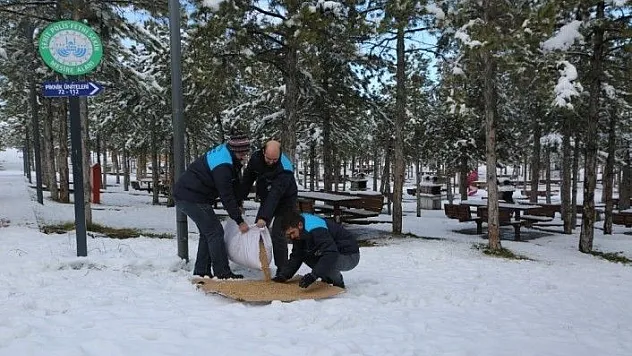 Elazığ'da  doğaya yarım ton yem bırakıldı