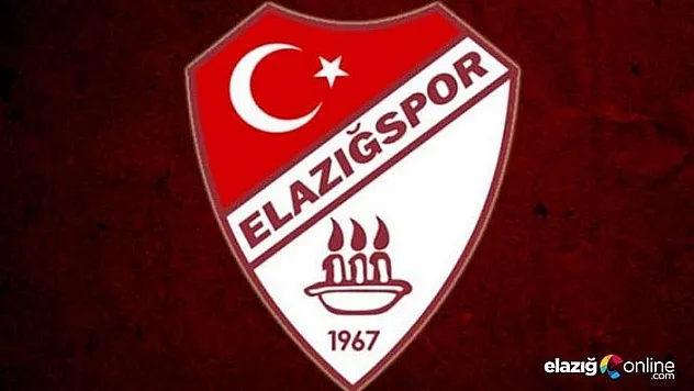 Elazığspor'da 260 delegenin üyeliği askıya alındı