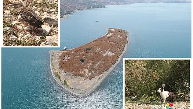 Hazar Gölü'nün ortasındaki güzellik!