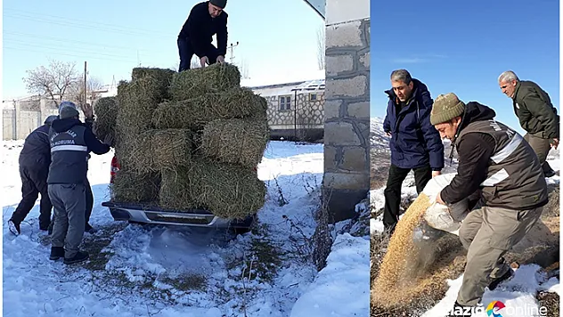 Elazığ'da yaban hayvanları unutulmuyor!