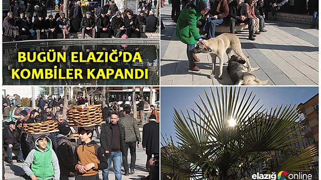 Elazığ'da yazdan kalma bir gün yaşandı!