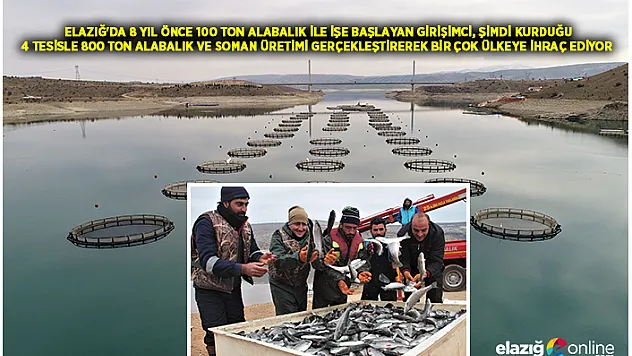 Elazığ'dan İtalya, Almanya, Hollanda ve Rusya'ya balık ihraç ediyorlar!