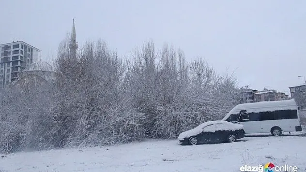 Elazığ'da kar 179 köy yolunu kapattı, 8 ilçede okullar tatil edildi