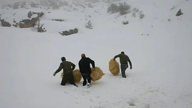 Elazığ'da yaban hayvanları için 4 ton yem bırakıldı