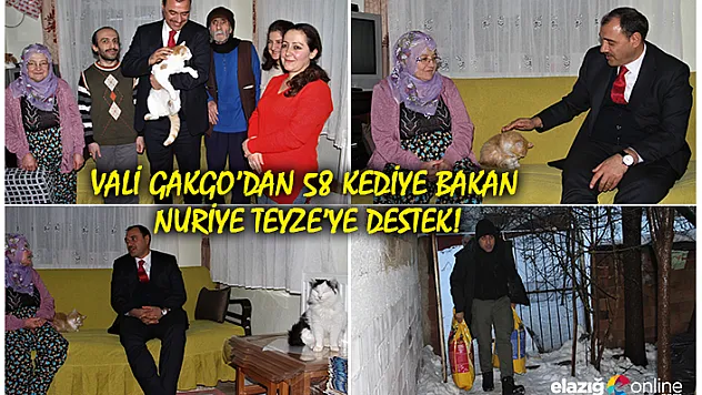 Evinde 58 kediye bakan Nuriye teyzeye, Vali Kaldırım'dan destek