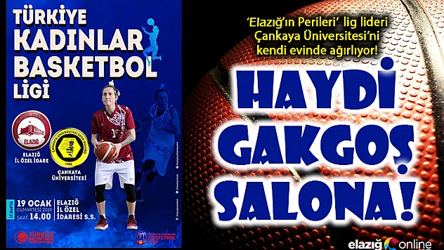 Haydi Elazığ, Perilere Destek Gerek!