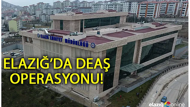 DEAŞ'ın sözde kadılarına operasyon: 2 gözaltı