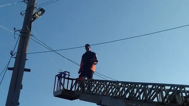 Elektrik teline takılan güvercin kurtarıldı