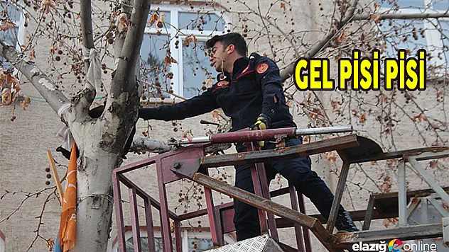 Mahsur kalan kedinin yardımına itfaiye yetişti