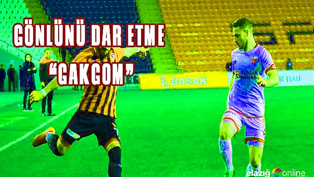 Canın sağolsun GAKGOM!