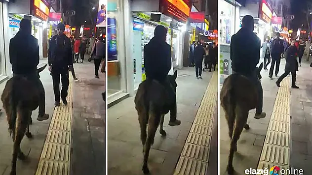 Gazi caddesinde görenler şaşkına döndü