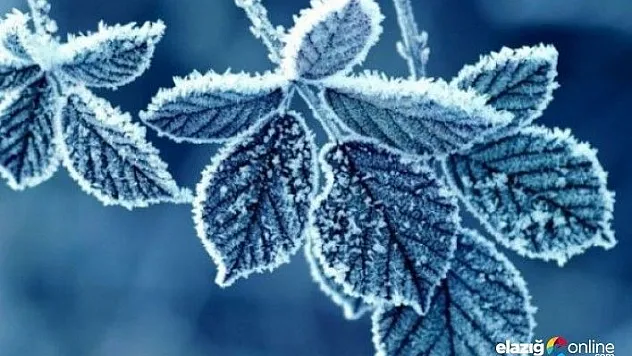 Meteorolojiden Elazığ ve 3 il için zirai don uyarısı!