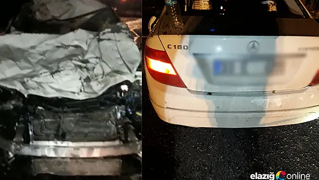 Otomobil yola çıkan atlara çarptı, 3'ü telef oldu