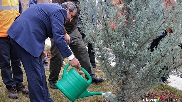 Şehir Hastanesinde 10 dönüm alana fidan dikildi