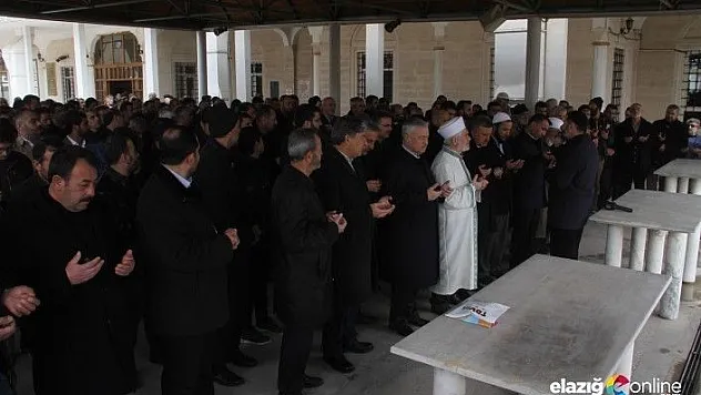 Yeni Zelanda'da hayatını kaybeden Müslümanlar için gıyabi namazı kılındı