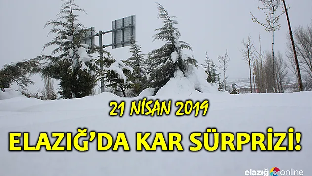 Elazığ'da Nisan ayında kar sürprizi
