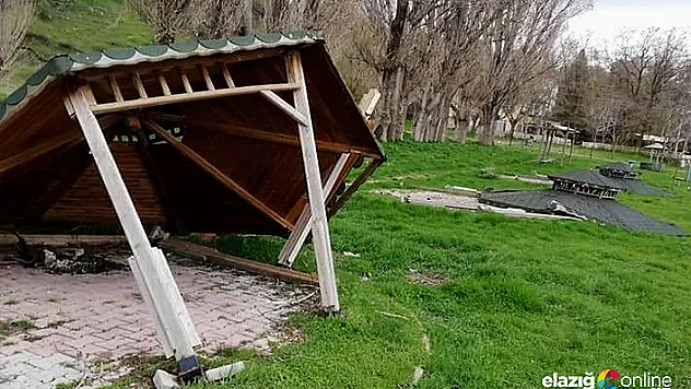 Fırtına kamelyaları devirdi