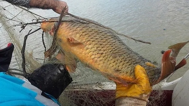Kaçak avda kullanılan bin metre ağ ile 400 kilo balık ele geçirildi