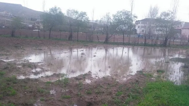 Kovancılar'da yağış, ekinlere zarar verdi