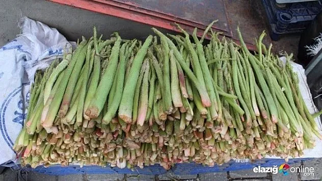 Mucizevi bitki ışgın, tezgahlardaki yerini aldı