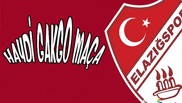 Osmanlıspor Biletleri Satışa Sunuldu