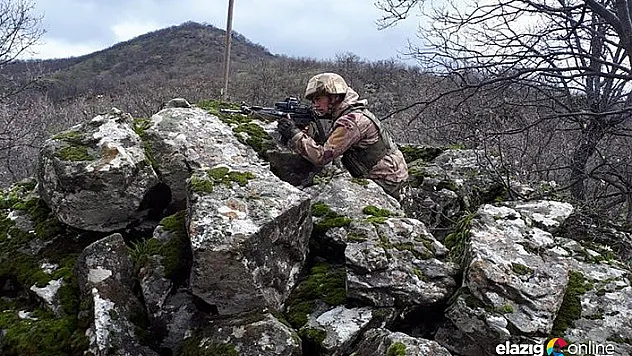 2 teröristin öldürüldüğü bölgede operasyon sürüyor