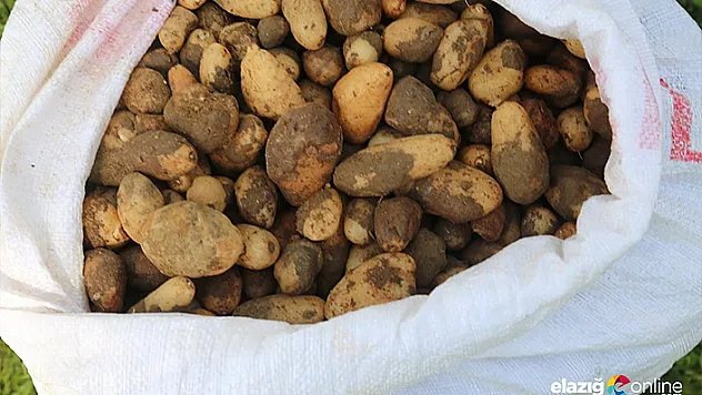 25 kilo salep soğanına 300 bin TL ceza kesildi