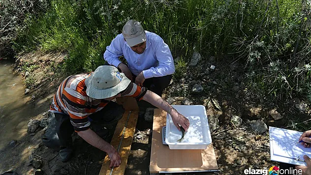 Bazı tür balıkların izlenmesine yönelik çalışma yapıldı