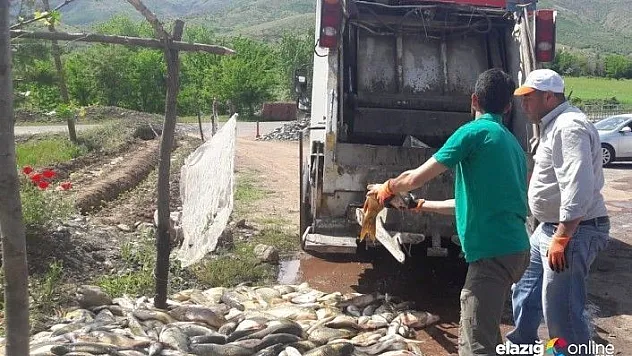 Bu kez de 1 ton 200 kilo balık çöp oldu