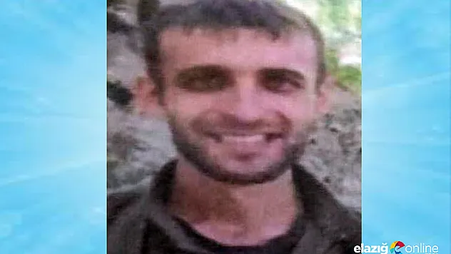 Öldürülen teröristin 300 bin TL ödüllü gri liste arandığı belirlendi