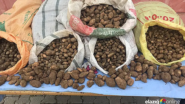 Salep soğanı toplayanlara bugün de 240 bin TL ceza kesildi