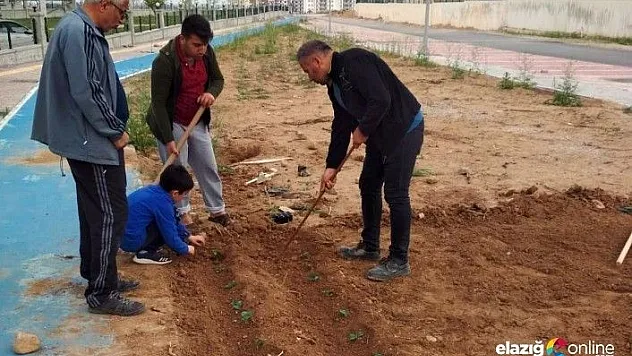 Vatandaşlardan yüksek fiyatlı sebzeye karşı çözüm