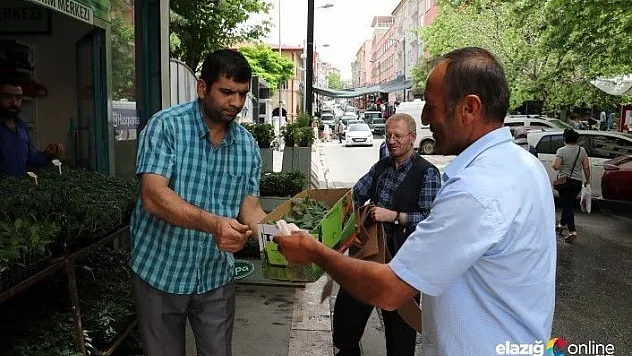 Yüksek fiyatlar vatandaşı sebze üretimine yöneltiyor