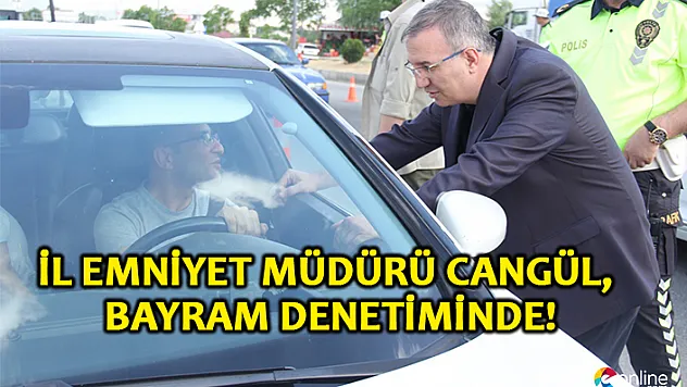 Elazığ'da bayram öncesi yol denetimleri sürüyor