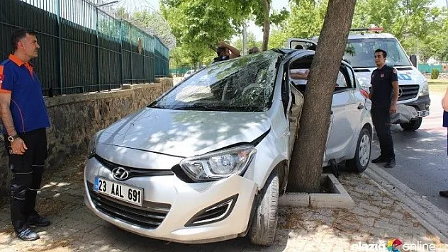 Otomobil ağaca çarptı: 2 yaralı