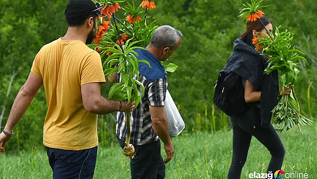 Ters laleleri koparıp götüren 3 kişiye 180 bin TL para cezası